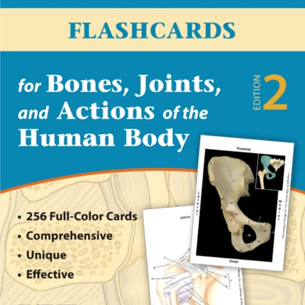 Flashcards for Bones, Joints, and Actions of the Human Body