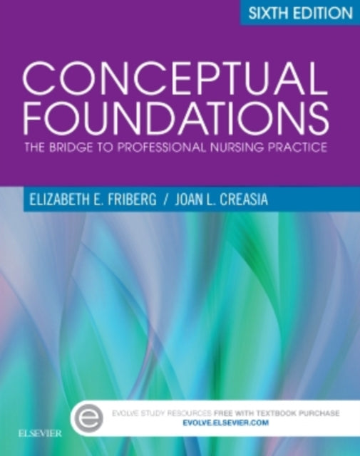 Conceptual Foundations The Bridge to Professional Nursing Practice