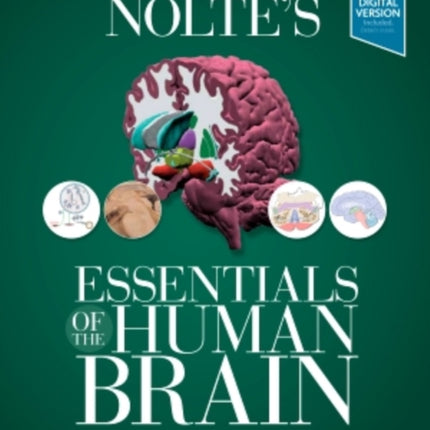 Nolte's Essentials of the Human Brain