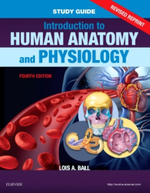 Study Guide for Introduction to Human Anatomy and
