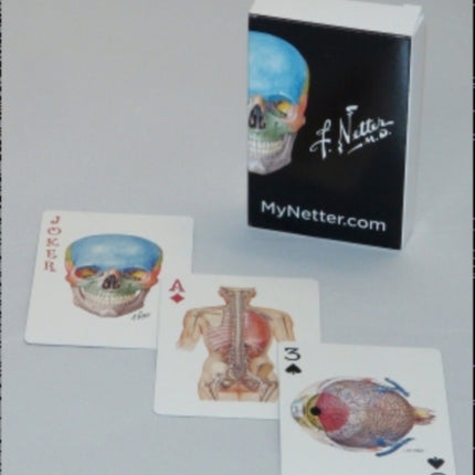 Netter Playing Cards: Netter's Anatomy Art Card Deck (Single Pack)