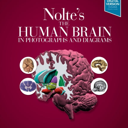 Nolte's The Human Brain in Photographs and Diagrams