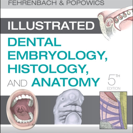 Student Workbook for Illustrated Dental Embryology, Histology and Anatomy