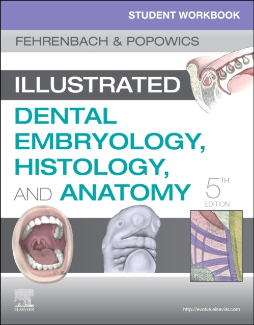 Student Workbook for Illustrated Dental Embryology, Histology and Anatomy