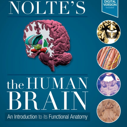 Nolte's The Human Brain: An Introduction to its Functional Anatomy