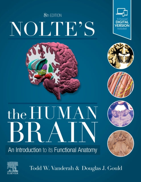 Nolte's The Human Brain: An Introduction to its Functional Anatomy