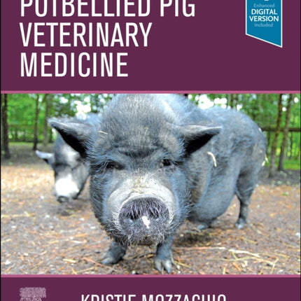 Potbellied Pig Veterinary Medicine