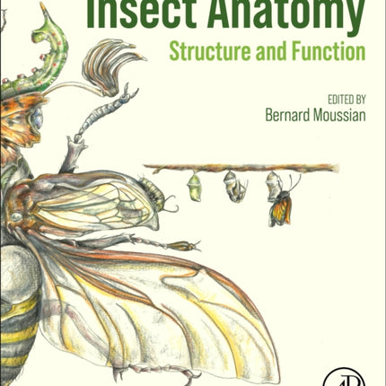 Insect Anatomy