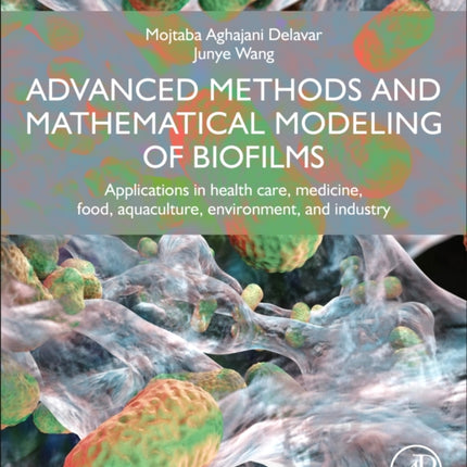 Advanced Methods and Mathematical Modeling of Biofilms
