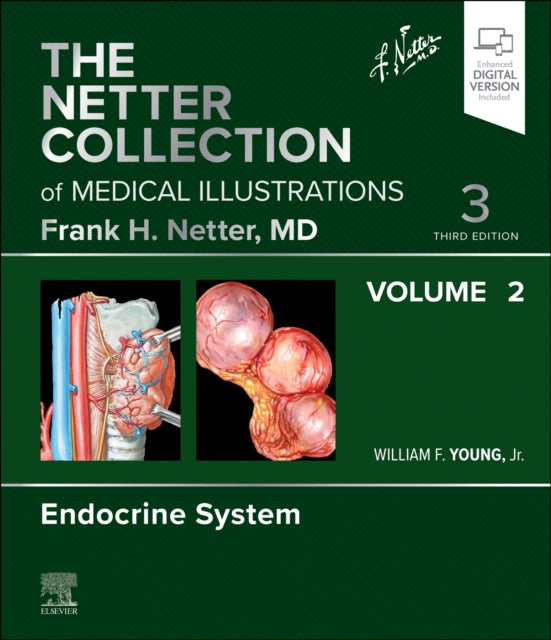 The Netter Collection of Medical Illustrations Endocrine System Volume 2