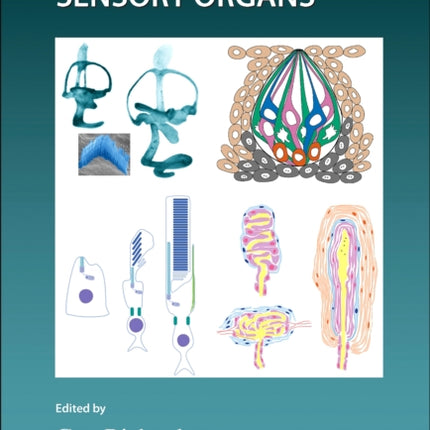 Development of the Senses
