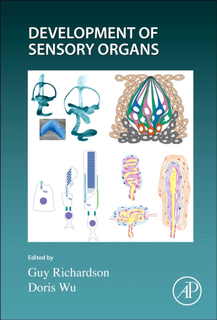Development of the Senses