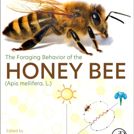 The Foraging Behavior of the Honey Bee Apis