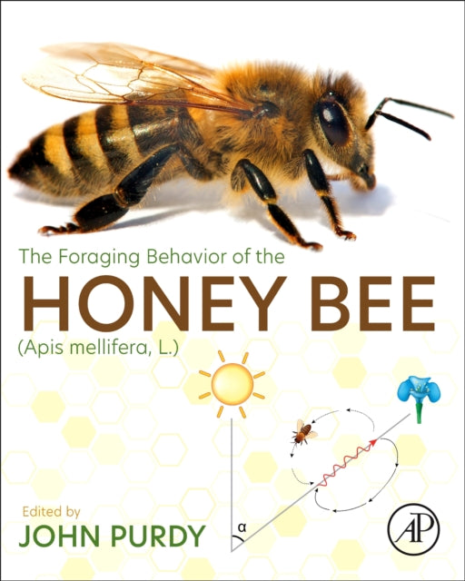 The Foraging Behavior of the Honey Bee Apis