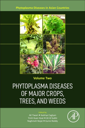 Phytoplasma Diseases of Major Crops Trees and