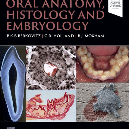 Oral Anatomy Histology and Embryology