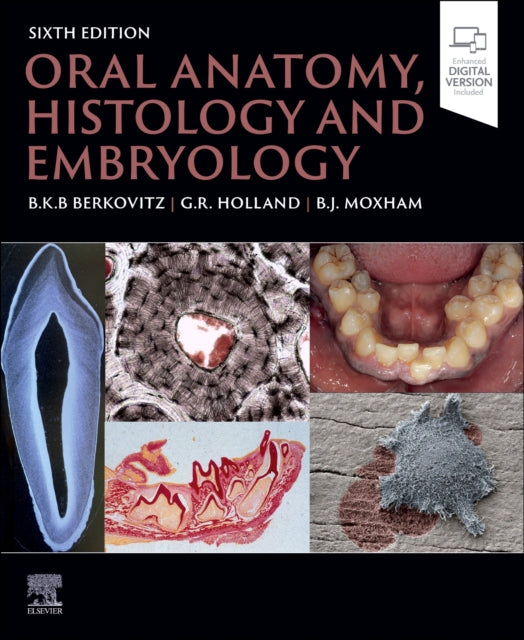 Oral Anatomy Histology and Embryology