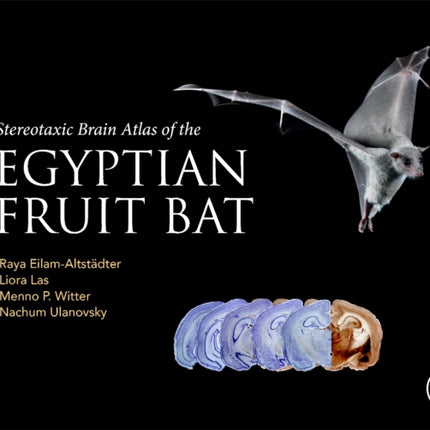 Stereotaxic Brain Atlas of the Egyptian Fruit Bat