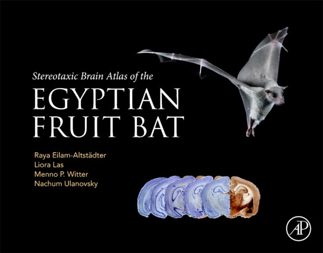 Stereotaxic Brain Atlas of the Egyptian Fruit Bat