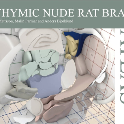 Athymic Nude Rat Brain Atlas