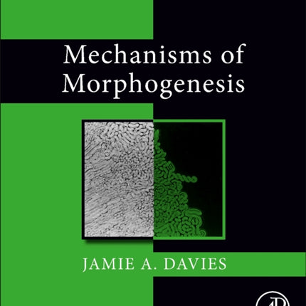 Mechanisms of Morphogenesis