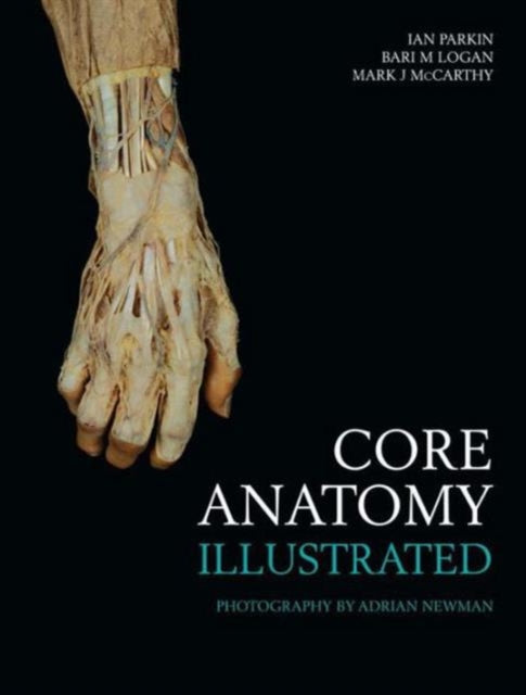 Core Anatomy  Illustrated