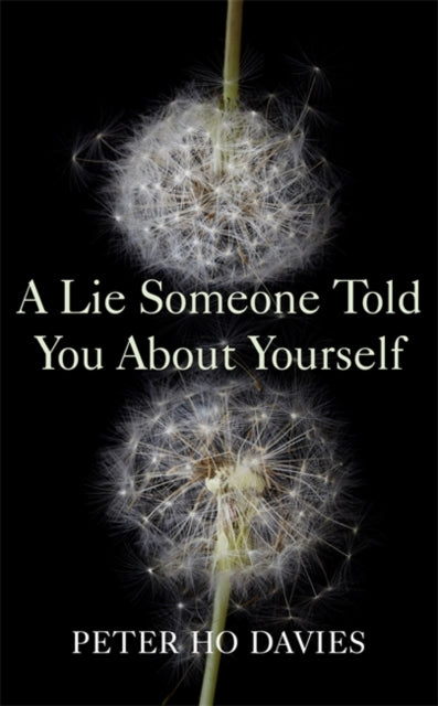 A Lie Someone Told You About Yourself