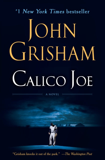 Calico Joe: A Novel