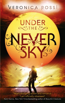 Under The Never Sky: Number 1 in series