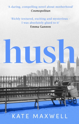 Hush: The heartbreaking and life-affirming debut novel which tells the truth about motherhood