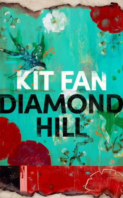 Diamond Hill: Totally unputdownable and evocative literary fiction