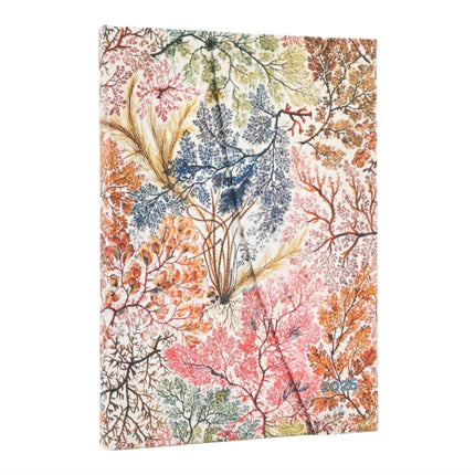 2026 Anemone William Kilburn Midi 12month