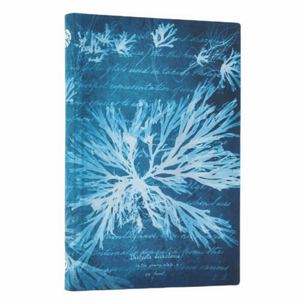 Paperblanks Sea Flowers Anna Atkins Cyanotypes Softcover Flexi Mini Lined Elastic Band 208 Pg 80 GSM