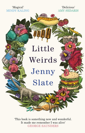 Little Weirds: ‘Funny, positive, completely original and inspiring' George Saunders