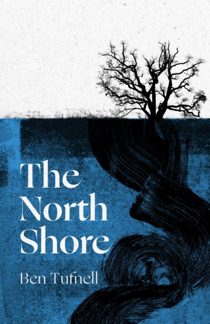 The North Shore: a stunning gothic debut