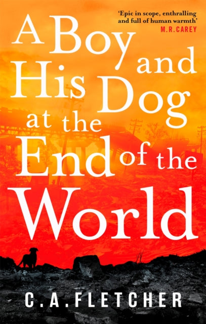 A Boy and his Dog at the End of the World