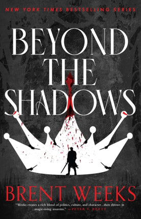 Beyond The Shadows: Book 3 of the Night Angel