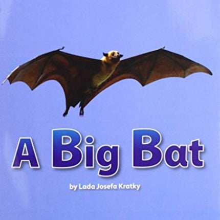 ROYO READERS LEVEL A A BIG BAT