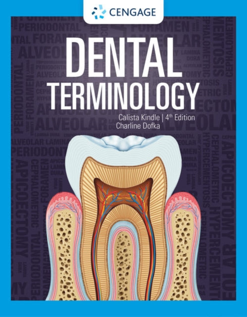 Dental Terminology