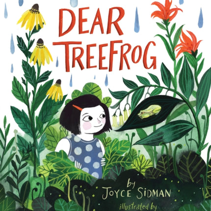 Dear Treefrog