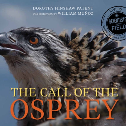 Call of the Osprey Scientists in the Field Paperback