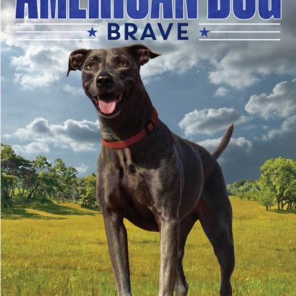 American Dog: Brave