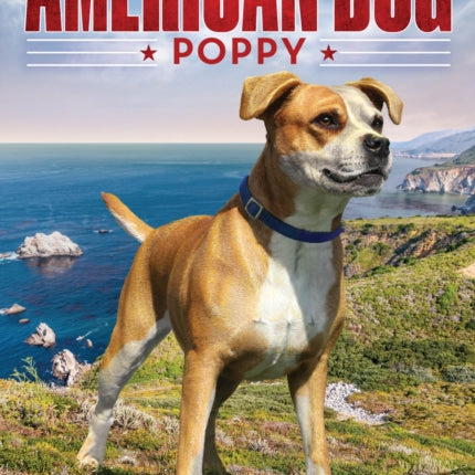 American Dog: Poppy