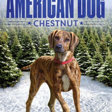 American Dog: Chestnut