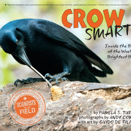 Crow Smarts: Inside the Brain of the World's Brightest Bird