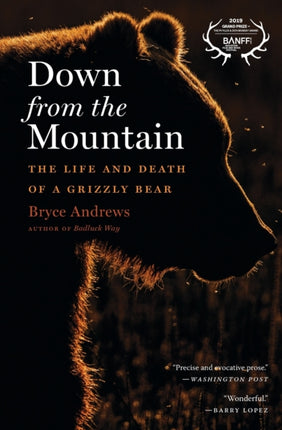 Down from the Mountain: The Life and Death of a Grizzly Bear