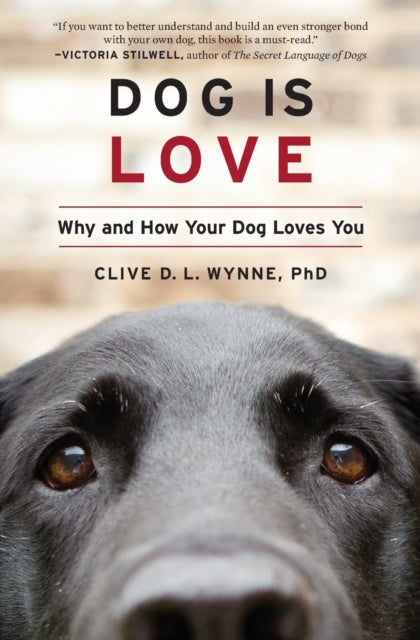 Dog Is Love: Why and How Your Dog Loves You