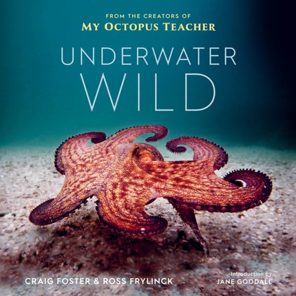 Underwater Wild: My Octopus Teacher's