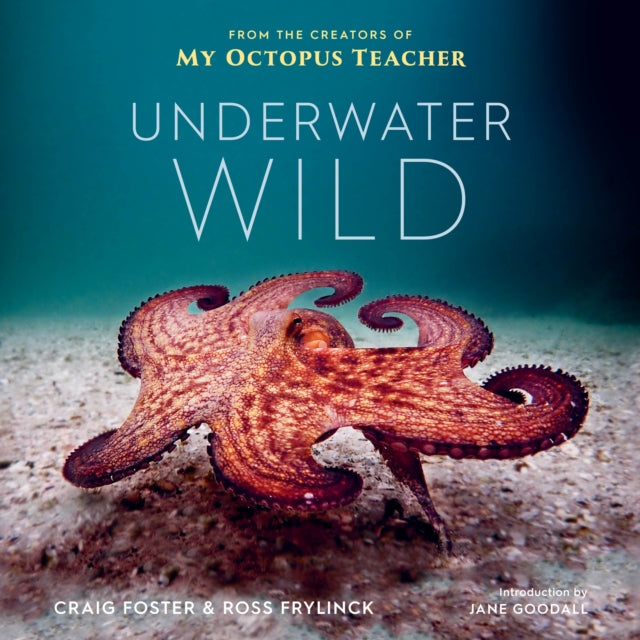 Underwater Wild: My Octopus Teacher's