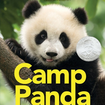 Camp Panda: Helping Cubs Return to the Wild